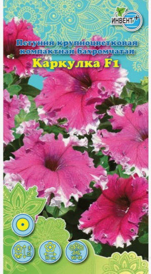 Петуния «Каркулка F1»