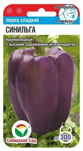 Перец «Синильга»