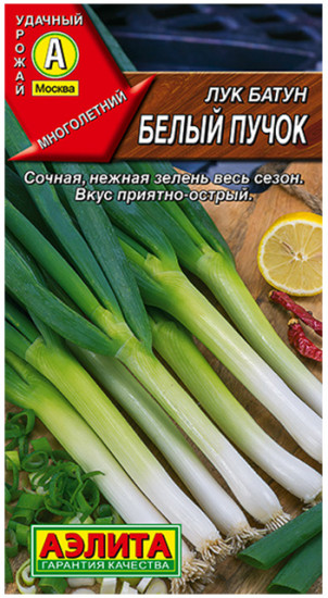 Лук батун «Белый пучок»
