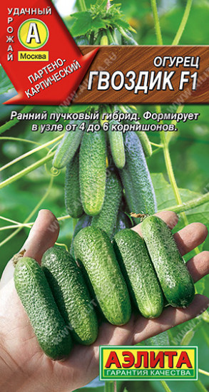 Огурец «Гвоздик F1»