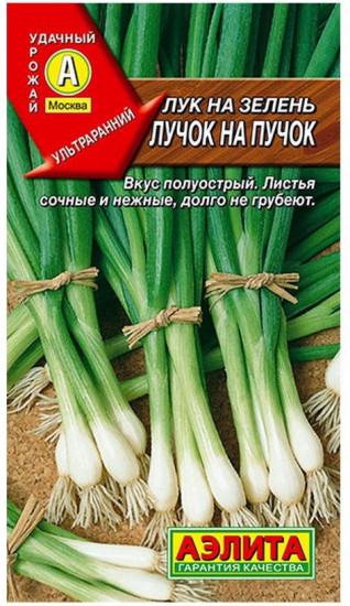Лук на зелень «Лучок на пучок»