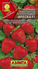 Земляника «Фреска F1»