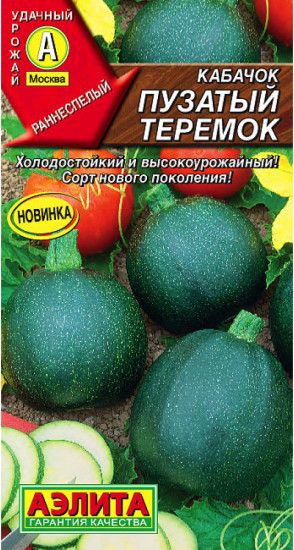 Кабачок «Пузатый теремок»