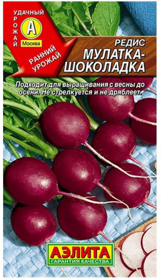 Редис «Мулатка-шоколадка»