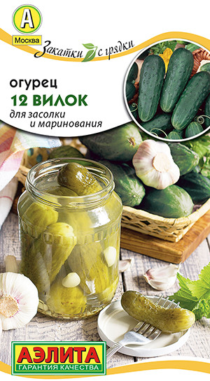 Огурец «12 вилок»