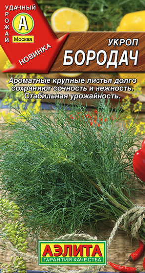 Укроп «Бородач»