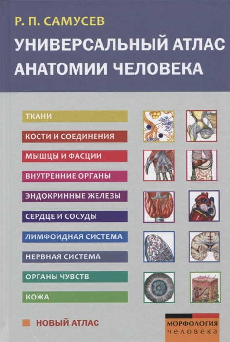 Универсальный атлас анатомии человека. Учебное пособие для студентов медицинских учебных заведений | Морфология человека