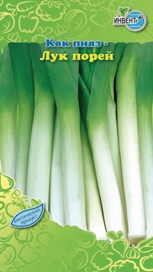Лук порей