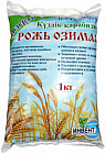 Рожь озимая