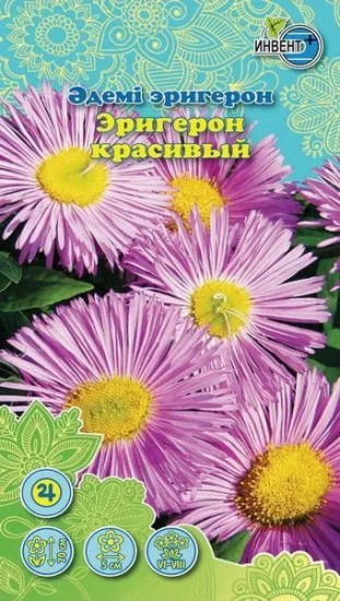 «Эригерон Красивый»