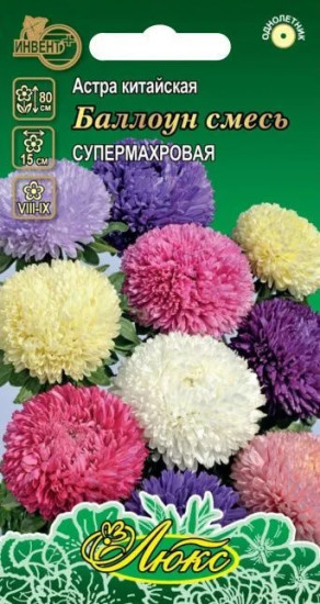 Астра китайская «Баллоун смесь»