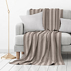 зебра-шоколад