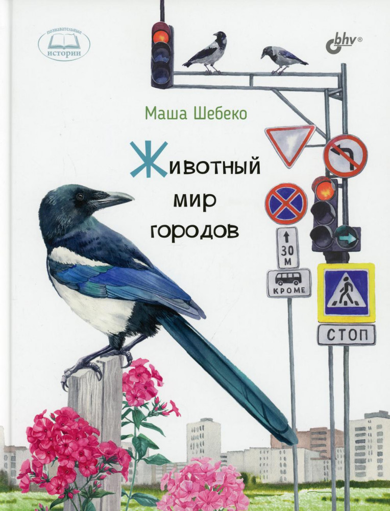 Животный мир городов | Познавательные истории