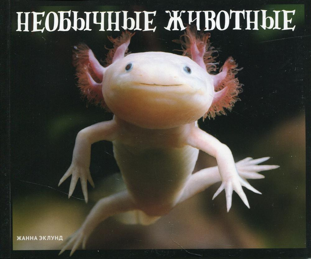 аузына спермы бар порно