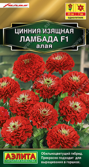 Цинния  «Ламбада F1 алая»