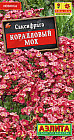 Саксифрага «Коралловый мох»