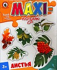 Maxi — пазл «Листья деревьев»