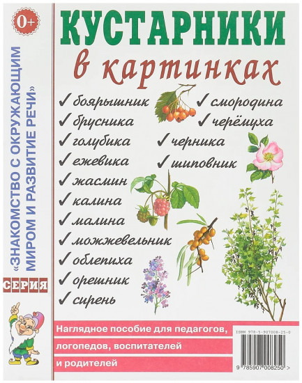 Кустарники в картинках