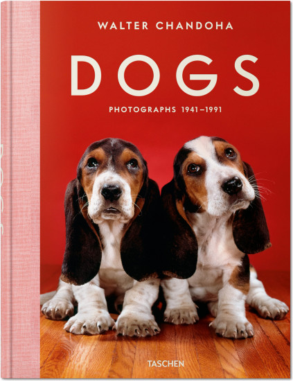 Dogs