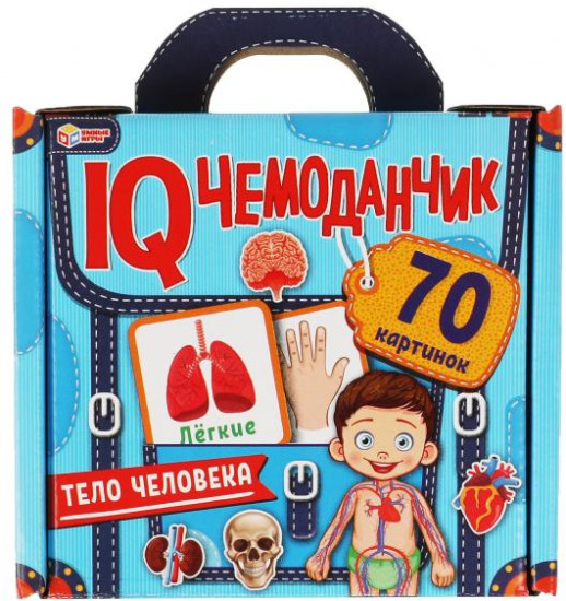 Карточки развивающие «Тело человека»