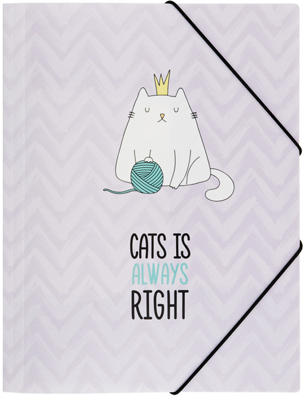Папка на резинке | Right cat | Meshu