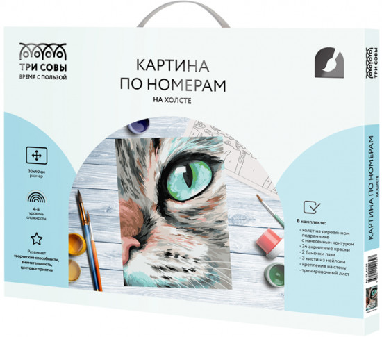 Картина по номерам «Кошачий взгляд»