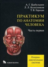 Практикум по анатомии человека