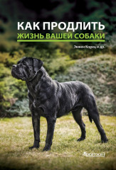 Как продлить жизнь вашей собаке