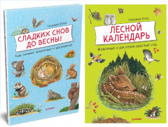 Сладких снов до весны. Лесной календарь