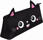 Пенал школьный