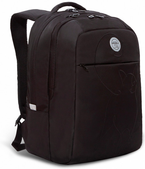 Рюкзак молодежный