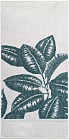 100×150 см