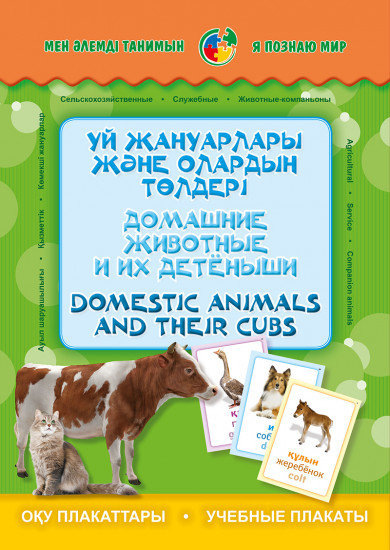 Үй жануарлары және олардын төлдері