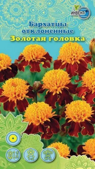Бархатцы отклоненные «Золотая головка»