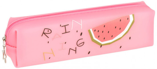 Пенал школьный