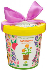 Набор для выращивания «Календула лекарственная»