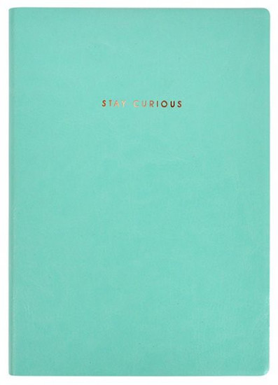 Блокнот «Stay curious»