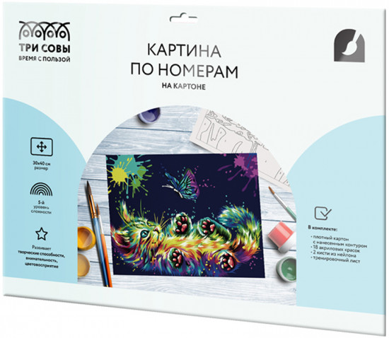 Картина по номерам «Игра в неоне»