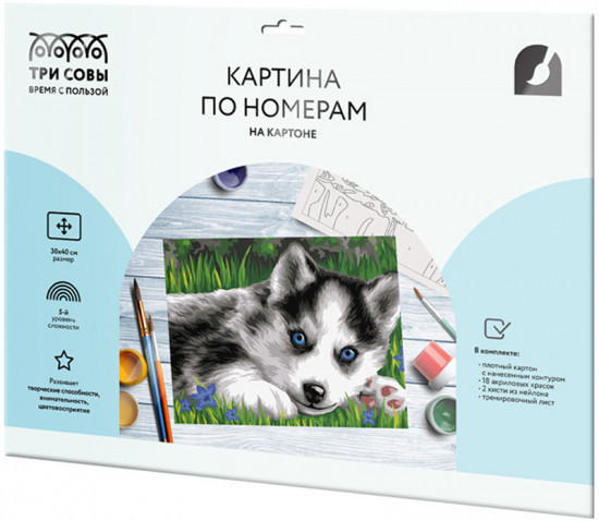Картина по номерам «Голубоглазый пушистик»