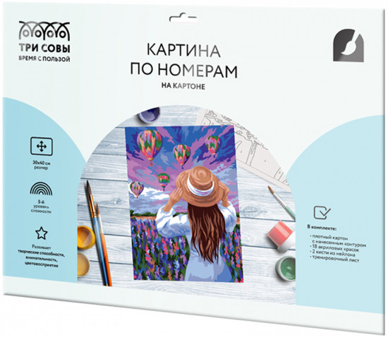 Картина по номерам «Воздушные шары»