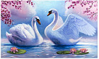 Картина на холсте «Лебеди на пруду»