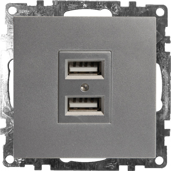 Розетка USB двухместная