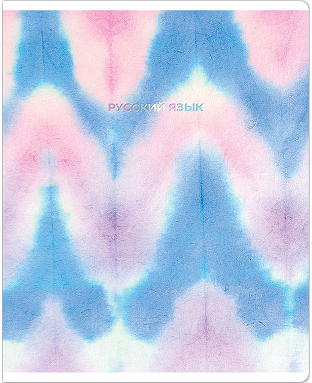 Тетрадь предметная «Русский язык» | Candy color | Meshu
