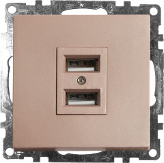 Розетка USB двухместная