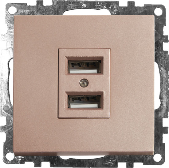 Розетка USB двухместная