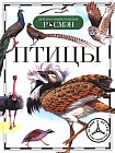 Птицы