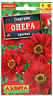 Георгина «Опера красная»
