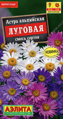Астра альпийская «Луговая»