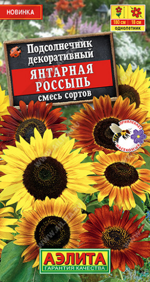 Подсолнечник декоративный «Янтарная россыпь»