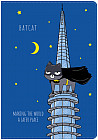 Обложка для паспорта «BatCat»